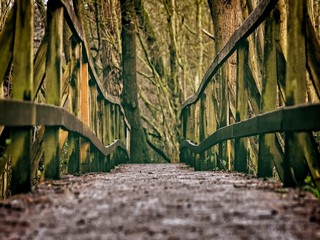 Puente de madera de un sendero